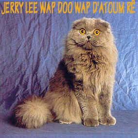 Jerry lee wap doo wap